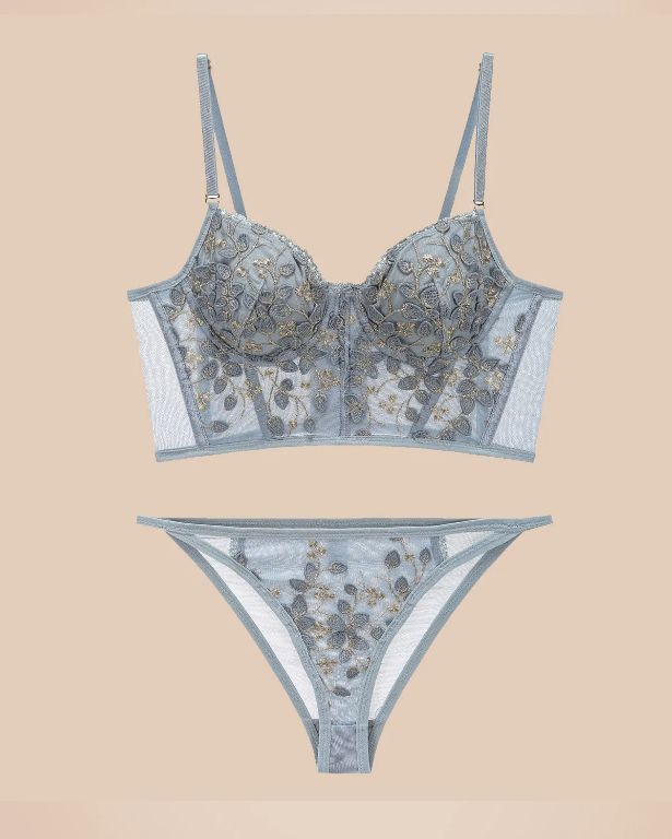 Embroidered Lace and Steel Bone Overlay French Lingerie Bra Set